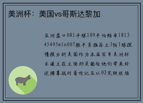 美洲杯：美国vs哥斯达黎加
