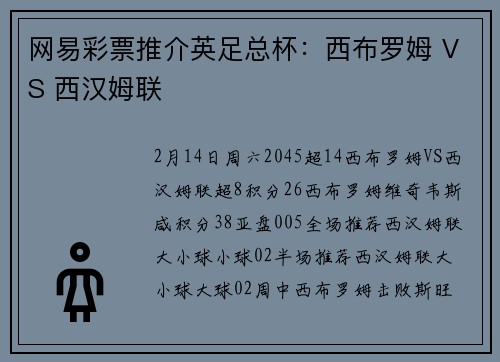 网易彩票推介英足总杯：西布罗姆 VS 西汉姆联