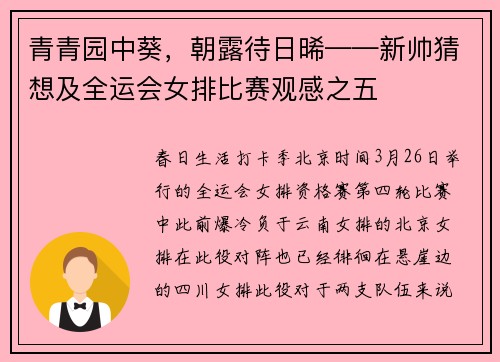 青青园中葵，朝露待日晞——新帅猜想及全运会女排比赛观感之五