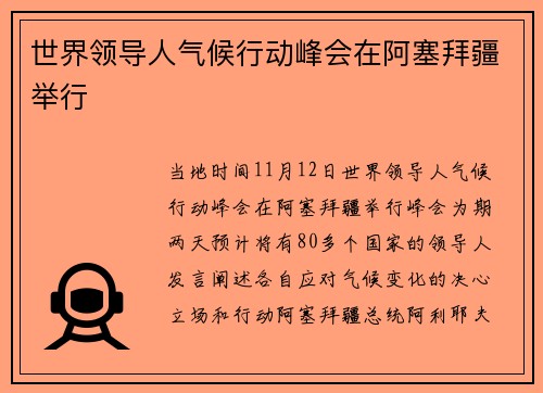 世界领导人气候行动峰会在阿塞拜疆举行
